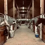 Zaton شقة *