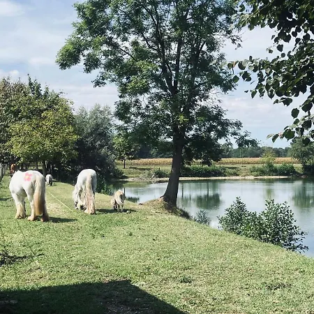 Lägenhet Zaton Tisina