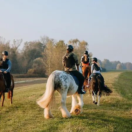 Апартаменты Zaton *