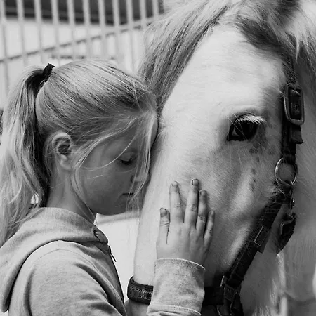 Lägenhet Zaton Tisina