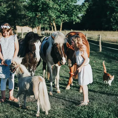 Апартаменты Zaton *