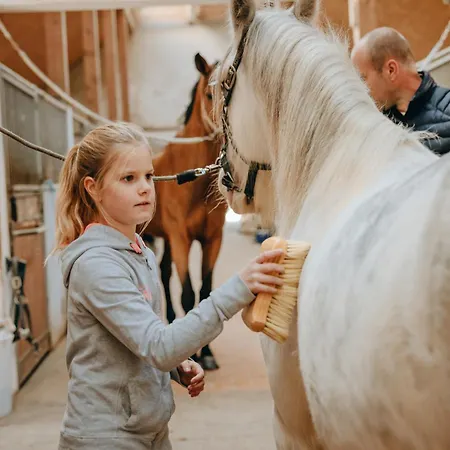 Apartment Zaton Tisina