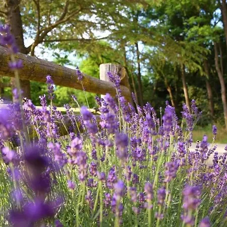 Zaton Апартаменты *