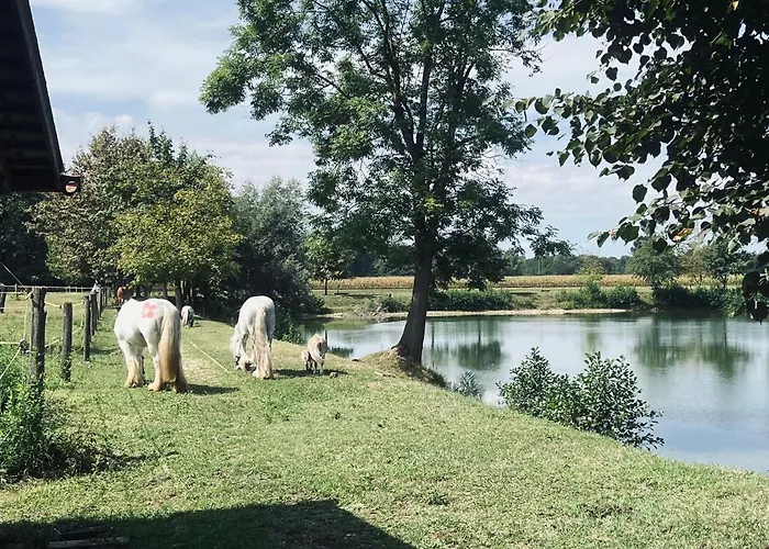 아파트 Zaton Tisina