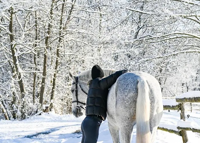 Lejlighed Zaton Tisina